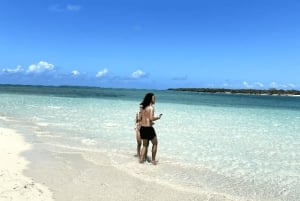 Zanzibar: Safari Blue privat tur med skaldjurslunch