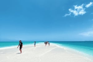 Zanzibar: Safari Blue privat tur med skaldjurslunch