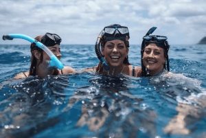 Zanzibar: Safari Blue privat tur med skaldjurslunch