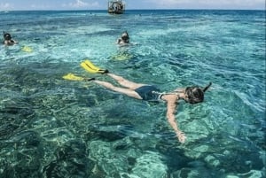 Zanzibar: Safari Blue privat tur med skaldjurslunch