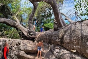 Zanzibar : Safari Blue Tour Full day trip