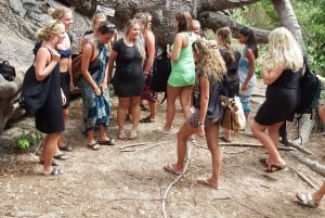 Zanzibar: Safari Blue Sea Trip Full Day Snorkeling & Lunch