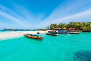 Zanzibar: Safari Blue Sea Trip Full Day Snorkeling & Lunch