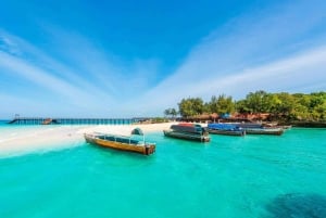 Zanzibar : Safari Blue Sea Excursion d'une journée avec plongée en apnée et déjeuner
