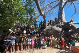 SAFAR BLUE, dagsutflykt till Sandbank, med lunch med skaldjur.