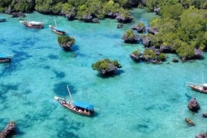 SAFAR BLUE, dagsutflykt till Sandbank, med lunch med skaldjur.