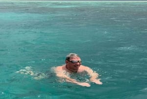 ZANZIBAR: Safari Blue snorklingeventyr med BBQ