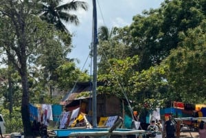 ZANZIBAR: Safari Blue snorklingeventyr med BBQ