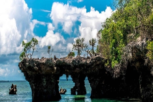 ZANZIBAR: Safari Blue snorklingeventyr med BBQ