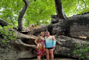 ZANZIBAR: Safari Blue snorklingeventyr med BBQ