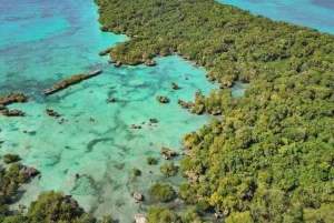 Zanzibar: Safari Blue Snorkeling and Sandbank