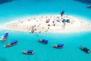 Zanzibar: Safari Blue Snorkeling Tour med lunsj