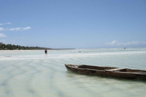 Zanzibar: safari blu con snorkeling e pranzo BBQ
