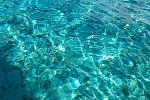 Zanzibar: Blue Safari Kwale Islandilla snorklaus & grilliateria