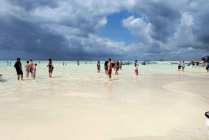 Zanzibar: Blue Safari Kwale Islandilla snorklaus & grilliateria