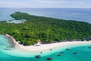 Zanzibar: Blue Safari Kwale Islandilla snorklaus & grilliateria