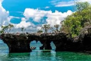 Zanzibar: Blue Safari Kwale Islandilla snorklaus & grilliateria