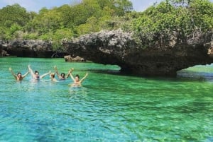 Zanzibar: Blue Safari Kwale Islandilla snorklaus & grilliateria