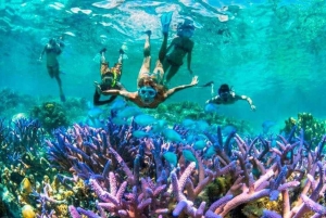 Zanzibar: Safari Blue Tour com mergulho com snorkel e almoço de frutos do mar