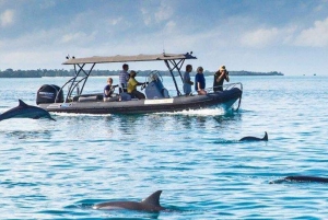 Zanzibar: Safari Blue Tour com mergulho com snorkel e almoço de frutos do mar