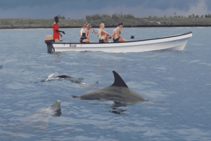 Zanzibar: Safari Blue Tour com mergulho com snorkel e almoço de frutos do mar