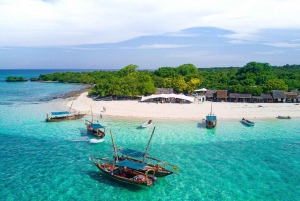 Zanzibar: Safari Blue Trip com mergulho e almoço