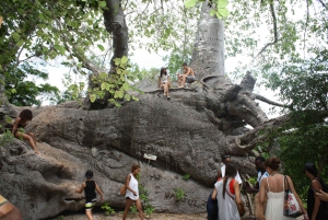 Zanzíbar: crucero Safari Blue en dhow de madera con barbacoa de marisco.