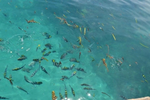 Zanzíbar: crucero Safari Blue en dhow de madera con barbacoa de marisco.