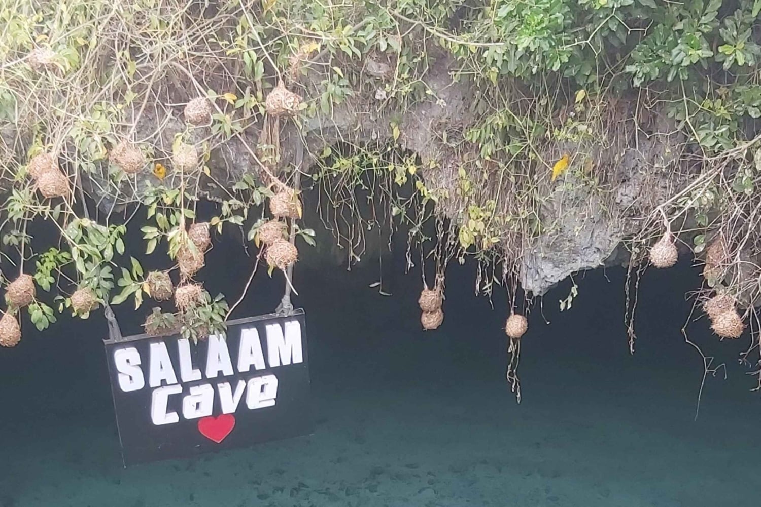 Zanzibar: passeio pela gruta de Salaam e natação com tartarugas