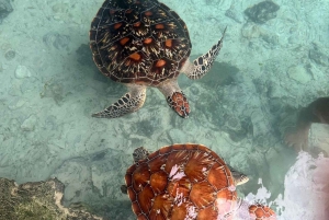 Zanzibar : visite de la grotte de Salaam et baignade avec les tortues