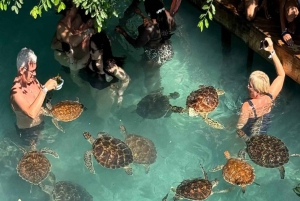 Zanzibar : visite de la grotte de Salaam et baignade avec les tortues