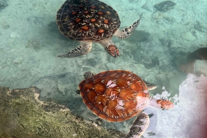 Zanzibar : visite de la grotte de Salaam et baignade avec les tortues