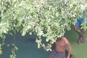 Zanzibar: passeio pela gruta de Salaam e natação com tartarugas