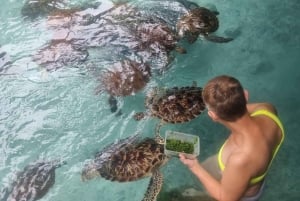 Zanzibar: passeio pela gruta de Salaam e natação com tartarugas