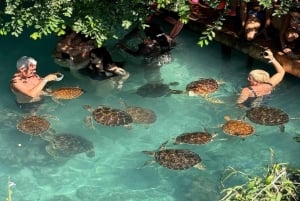 Zanzibar: passeio pela gruta de Salaam e natação com tartarugas