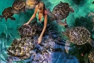 Zanzibar: passeio pela gruta de Salaam e natação com tartarugas