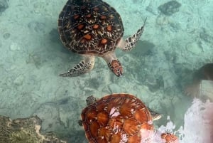Zanzibar: passeio pela gruta de Salaam e natação com tartarugas