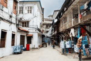 ペンバ：プライベートガイド付き文化ツアー