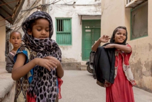 ペンバ：プライベートガイド付き文化ツアー