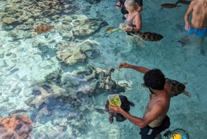 ペンバ：プライベートガイド付き文化ツアー