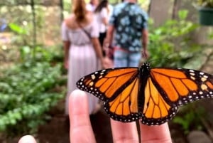 Zanzibar: Salaam Cave,Butterfly Center & Mtende beach