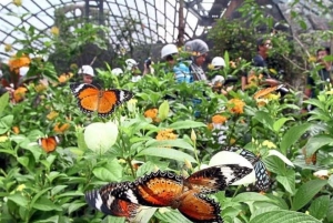 Zanzibar: Salaam Cave, Butterfly Center og Mtende-stranden