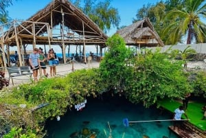 ZANZÍBAR: cueva Salaam, bosque Jozani y restaurante Rock