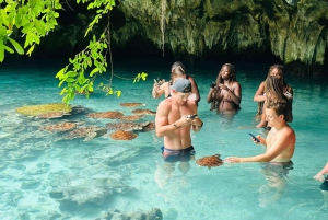 ZANZÍBAR: cueva Salaam, bosque Jozani y restaurante Rock