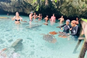 ZANZÍBAR: cueva Salaam, bosque Jozani y restaurante Rock