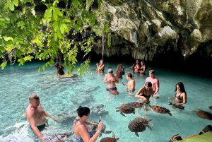 ZANZÍBAR: cueva Salaam, bosque Jozani y restaurante Rock