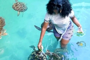 Zanzibar: Grotta di Salaam, Grotta di Kuza e The Rock Restaurant