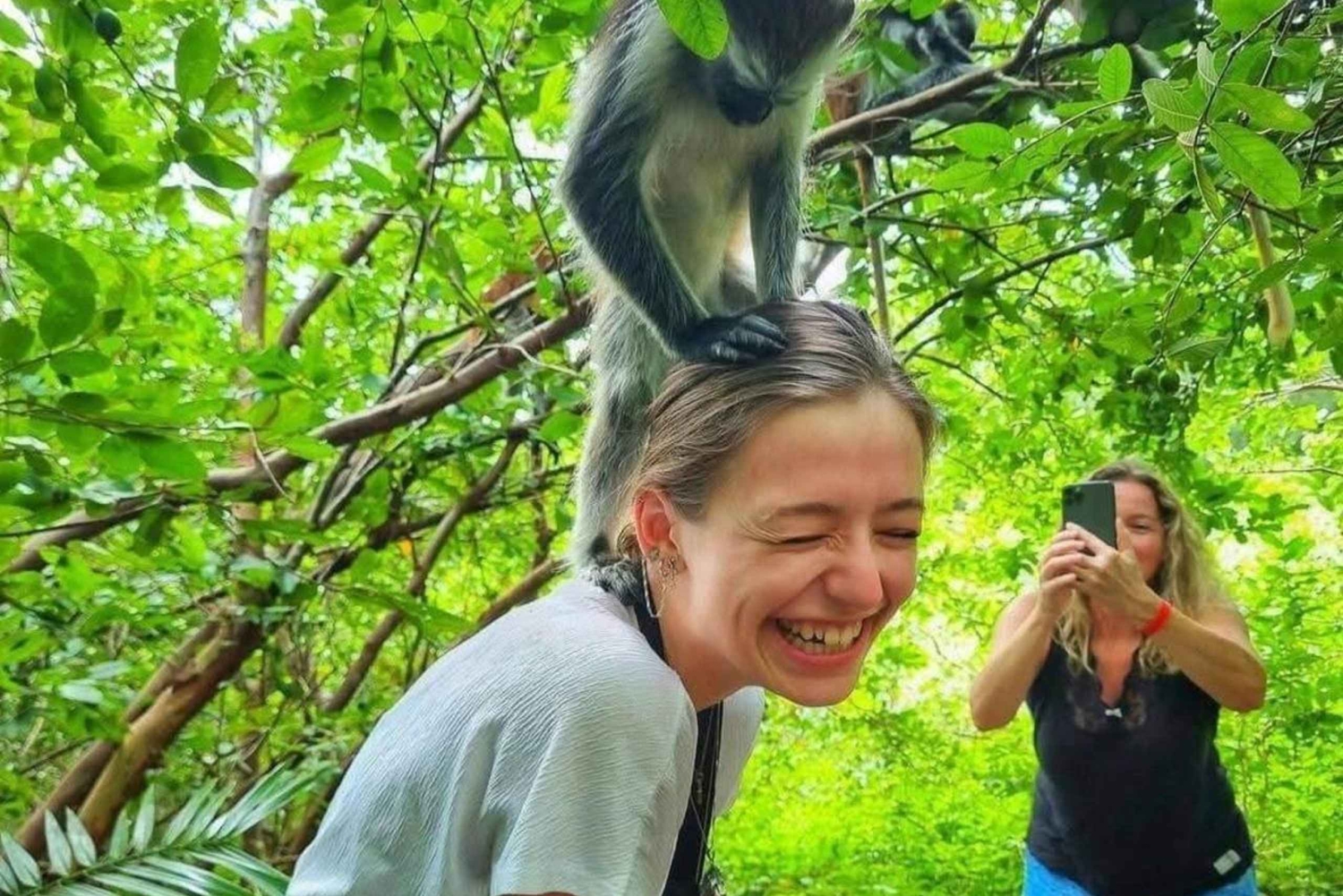 SANS BARA: Salaam-Höhle, Gefängnisinsel und Jozani-Wald-Tour