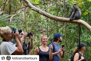 SANS BARA: Salaam-Höhle, Gefängnisinsel und Jozani-Wald-Tour