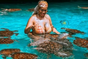 Занзибар: пещера Салаам, морские черепахи и лес Джозани